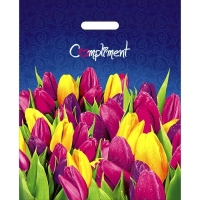 Пакет с прорубной ручкой с логотипом